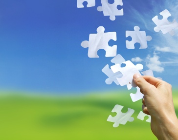 Missing Pieces of the Puzzle